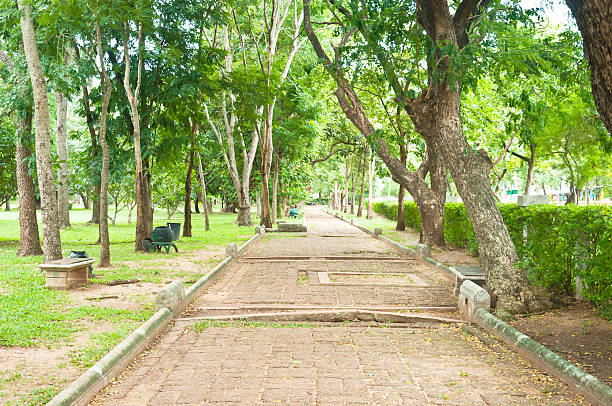 istock old footpath thai culture 521758929