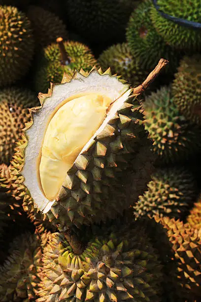 Photo of Durian fruit