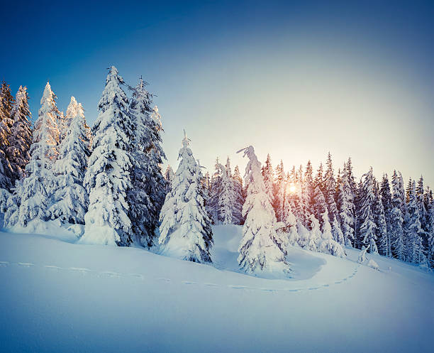 istock Beautiful winter sunrise in the mountains. 521761499