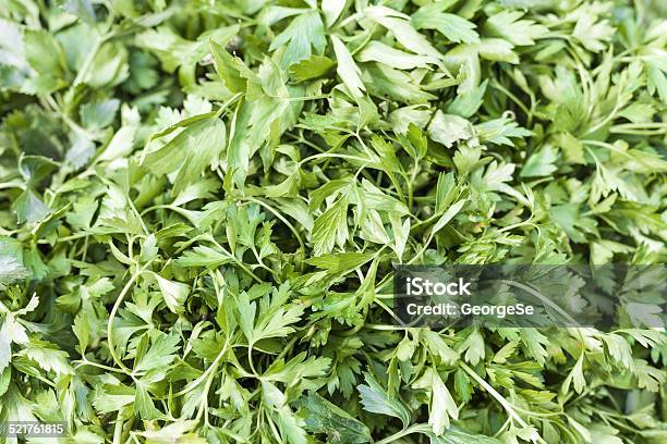 Green Parsley For Sale At Marketplace Stock Photo - Download Image Now - Agriculture, Aromatherapy, Backgrounds