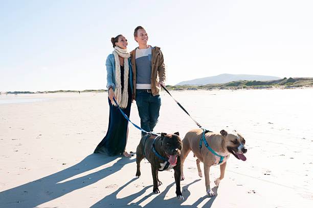 istock Enjoying The Day With Our Dogs 521773125