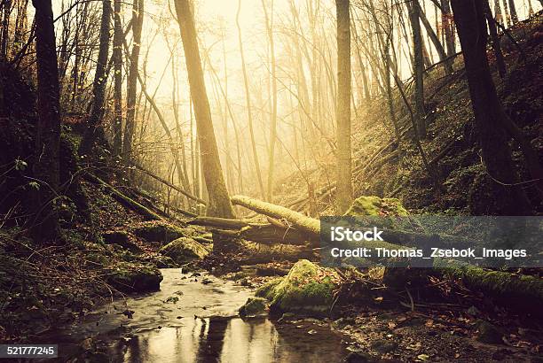 Stream Stock Photo - Download Image Now - Autumn, Awe, Beauty In Nature