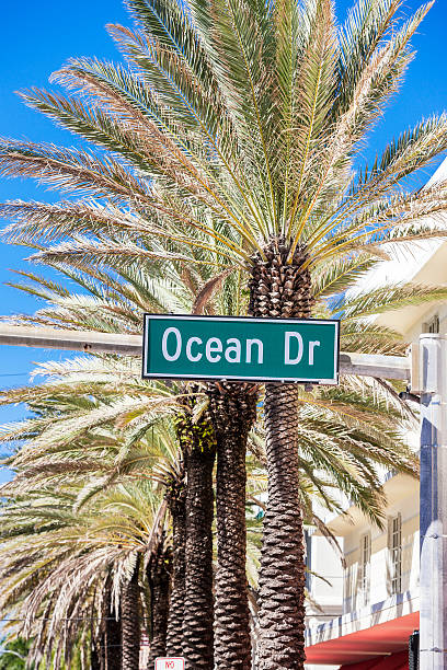 istock famous street in Miami Beach 521778865