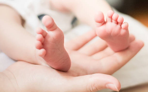 istock baby feet on the mother's palm 521786857