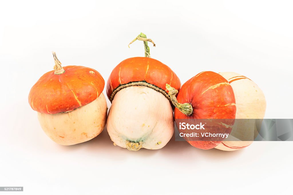 pumpkins1 colorful pumpkins on white background Autumn Stock Photo