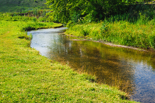 stream shallow river around green trees and grass
