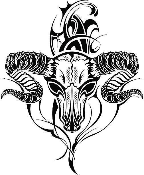 Tattoo Skull Goat Stock Illustration - Download Image Now - Anatomy,  Animal, Animal Body Part - iStock