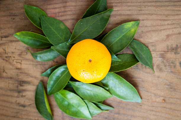 orange fresh tangerine on wooden background
