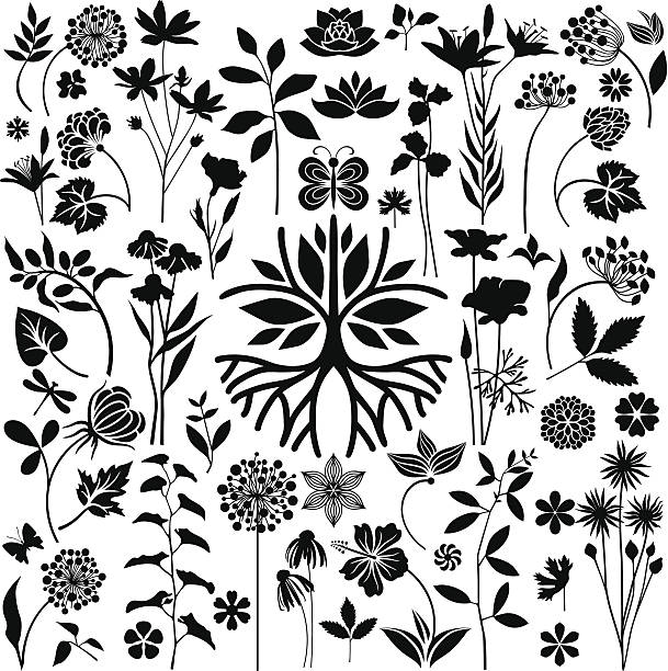 botanika garden - chrysanthemum single flower flower pattern stock illustrations