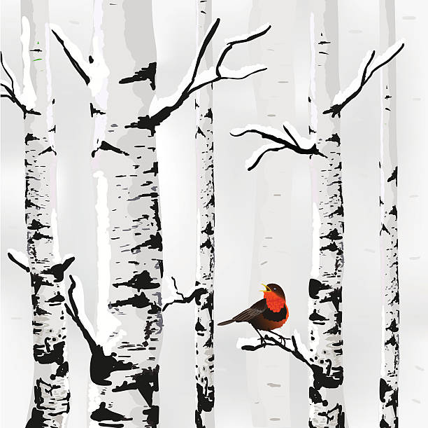Winter card in vector Birch in snow, winter card in vector birch tree stock illustrations