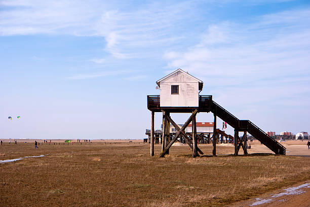 istock On the Beach of St. Peter-Ording in Germany 521794842