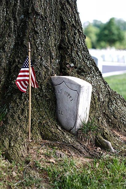 Tree Surrounds Civil War Tombstone, Arlington National Cemetery Arlington, Virginia, USA - May 24, 2015: A mature tree grows around the tombstone of an American Civil War soldier at Arlington National Cemetery. arlington cemetery in spring stock pictures, royalty-free photos & images