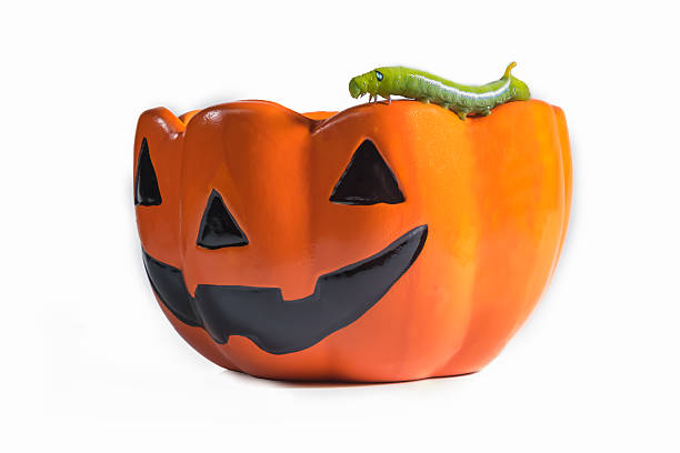 istock The cups are designed with a pattern of pumpkin. 521800413
