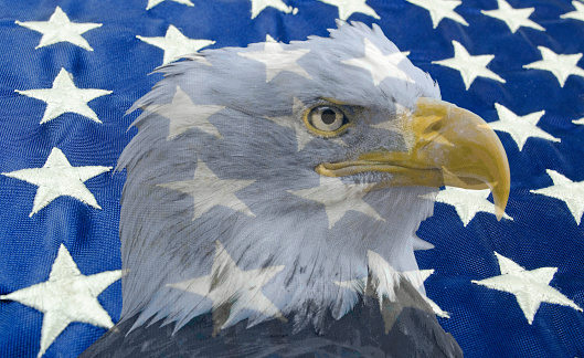An American flag with a light image of a Bald Eagle head over the flag. The Bald Eagle is transparent so the flag is seen  through the Eagle image.
