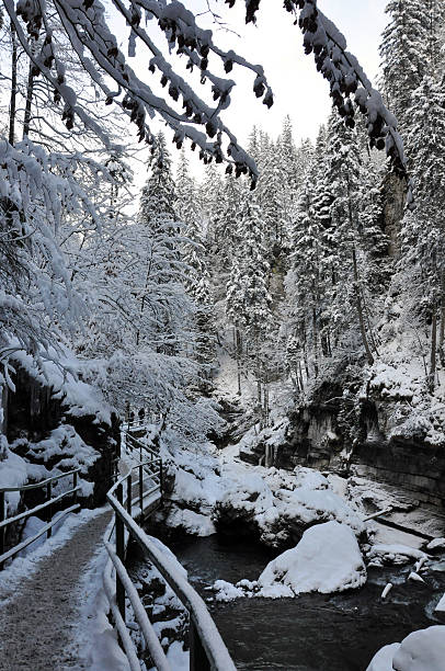 winter landscape white winter land, winter forest, Breitachklamm breitachklamm stock pictures, royalty-free photos & images