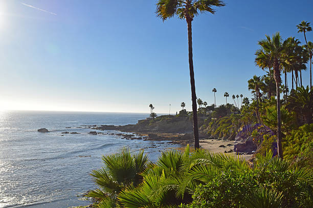 istock Laguna Beach Coastline & Gardens 521802389