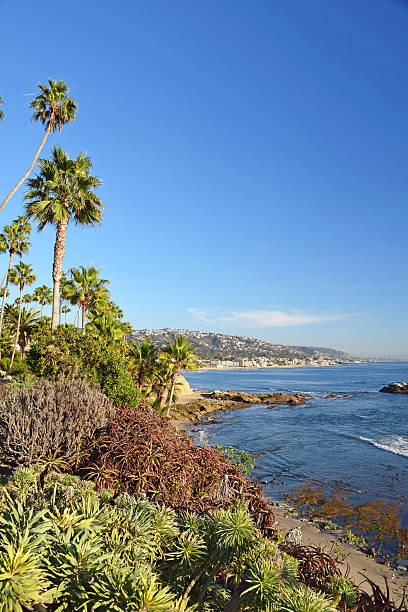 istock Laguna Beach Coastline & Gardens 521802397