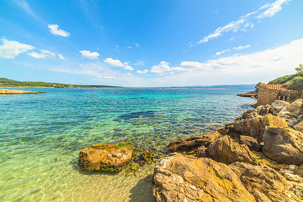 istock clear water and yellow rocks 521803244