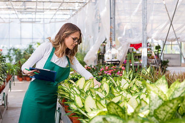 istock Making a List of plants 521803998
