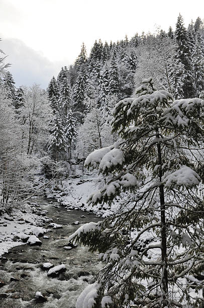 winter landscape white winter land, winter forest, Breitachklamm breitachklamm stock pictures, royalty-free photos & images