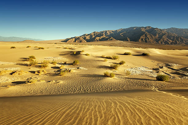 istock sand desert and rocky mountains in the background 521805900