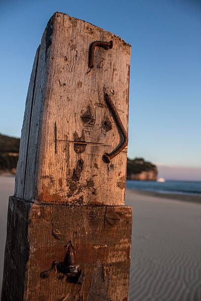 istock rusty nails in a dirty wooden pole on the beach 521805924