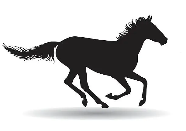 Vector illustration of horse,silhouette on a white background