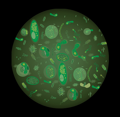 Bacteria virus and germs microorganism cells green inversion seamless pattern