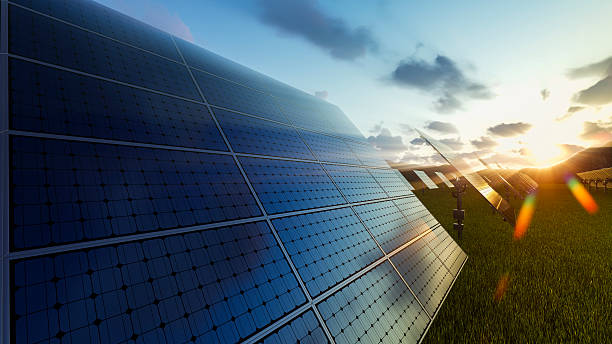 Solar panels field at sunset stock photo