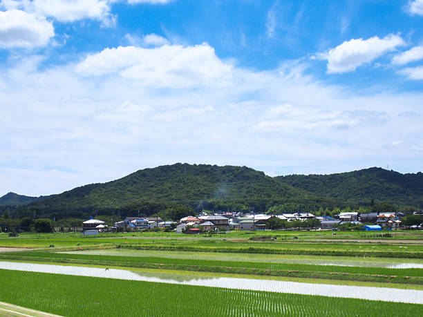 istock Sunny Interval Of Rainy Season 521811714