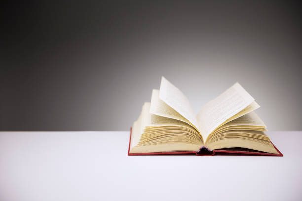 istock Close up of open book on counter 521812097