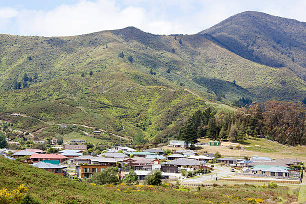 istock New Zealand Suburbs 521812328