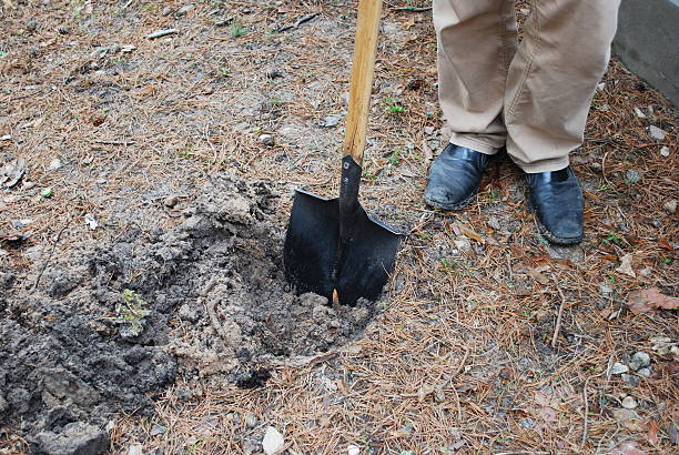 istock Spade and dug a hole on background of worker legs. 521812334