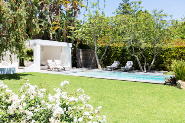 istock Swimming pool and backyard of modern house 521813255