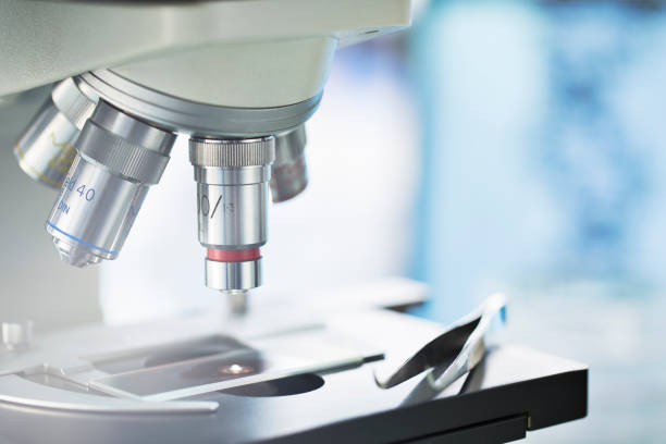 istock Close up of slide in microscope in lab 521813407