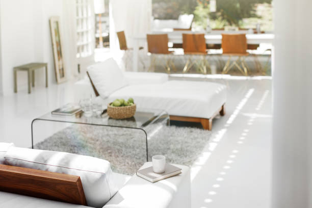 Modern sofa