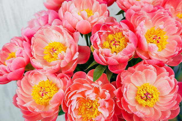istock bouquet of pink peonies 521814758