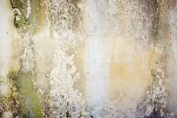 Photo of Background: grungy, stained, pitted, concrete wall with lichen