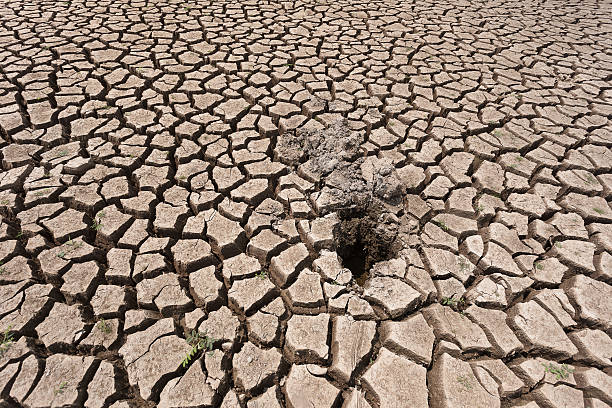 istock Cracked dry land without water 521817440