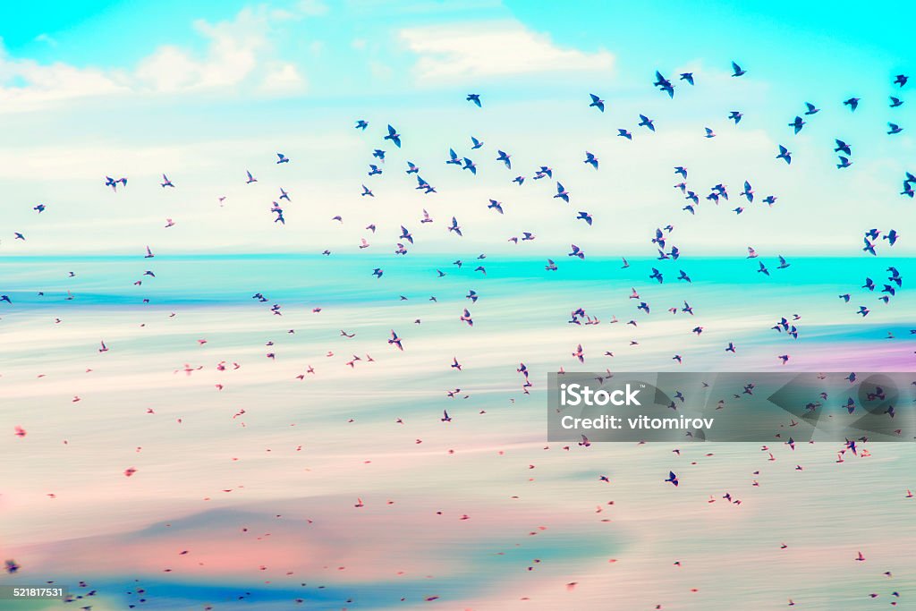 birds flying and abstract sky ,spring background abstract happy background Abstract Stock Photo