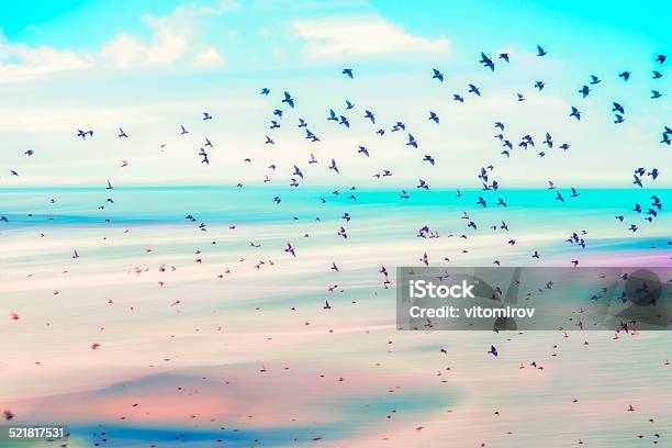 Birds Flying And Abstract Sky Spring Background Abstract Happy Background Stock Photo - Download Image Now