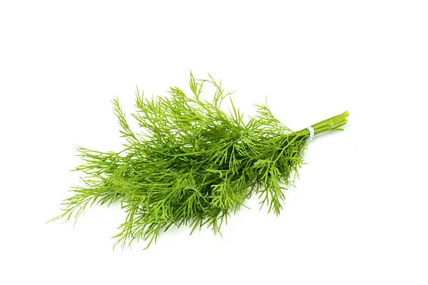Bunch fresh dill isolated on white background.