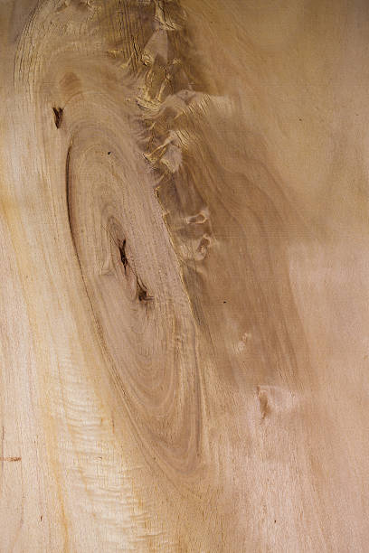 istock Realistic wood veneer with interesting growth rings 521817873