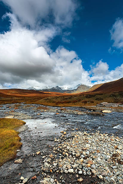 горная река галька - stone rock river pebble стоковые фото и изображения