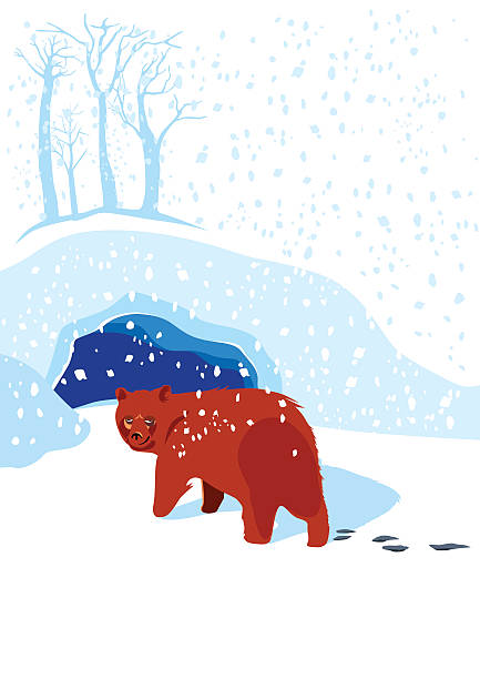 медведь вводит den - winter cave bear hibernation stock illustrations