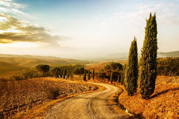 Tuscany Landscape at Sunrise stock photo