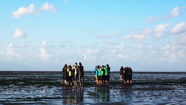 caminhada de wadden - wadden wadden sea unesco world heritage site sea - fotografias e filmes do acervo