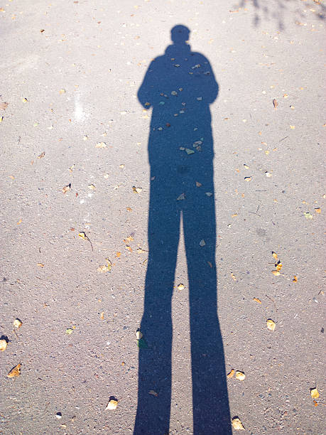 Photographed with mobile phone.