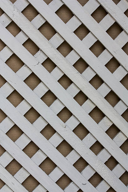 istock wooden fence 521823115