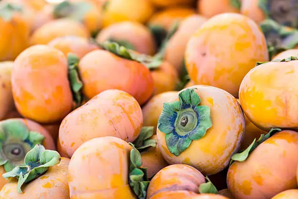 Fresh Jiro persimmons at a fall farmer's market.